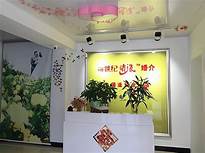 相亲平台投资