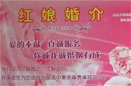 红娘平台合作(图2) 红娘平台合作(图2)