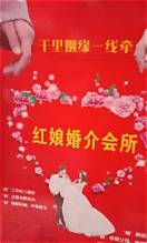 红娘平台好做吗(图2)