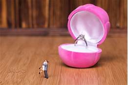 婚恋机构模式(图3) 婚恋机构模式(图3)
