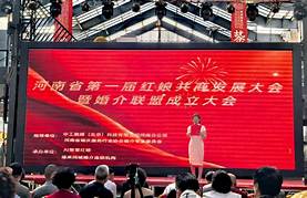 红娘平台能赚钱吗(图3)