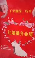 红娘平台创业(图2)