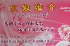 红娘平台运营