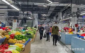 婚介市场前景