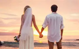 婚姻介绍所盈利(图3)