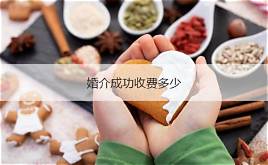 相亲平台加盟费多少