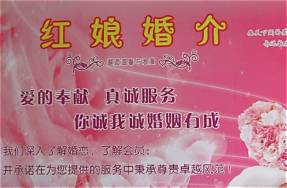 红娘平台创业分析