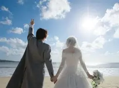 婚姻介绍所招商(图3) 婚姻介绍所招商(图3)