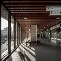 相亲平台市场前景(图2)