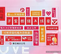 婚姻介绍所加盟店什么品牌好(图3)