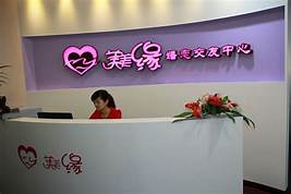 自媒体创业成功案例(图2)
