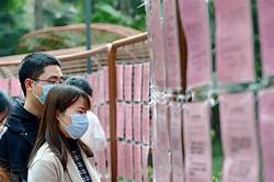 婚恋服务加盟支持(图3)