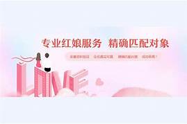 相亲平台盈利